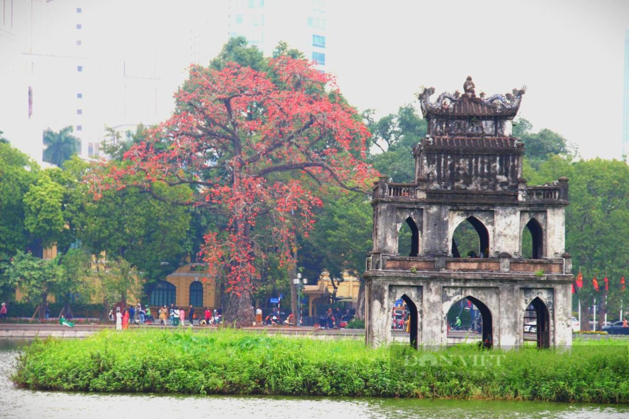 Bong Ha Noi Hostel Hanoi Luaran gambar